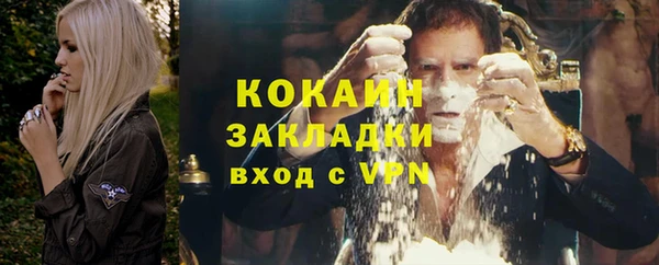 ГАЛЛЮЦИНОГЕННЫЕ ГРИБЫ Арсеньев
