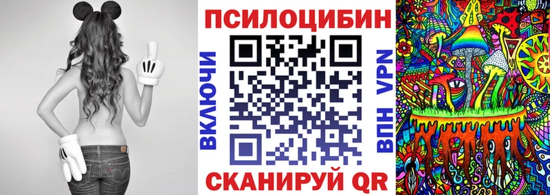 Псилоцибиновые грибы MAGIC MUSHROOMS  сколько стоит  shop наркотические препараты  Новый Уренгой 